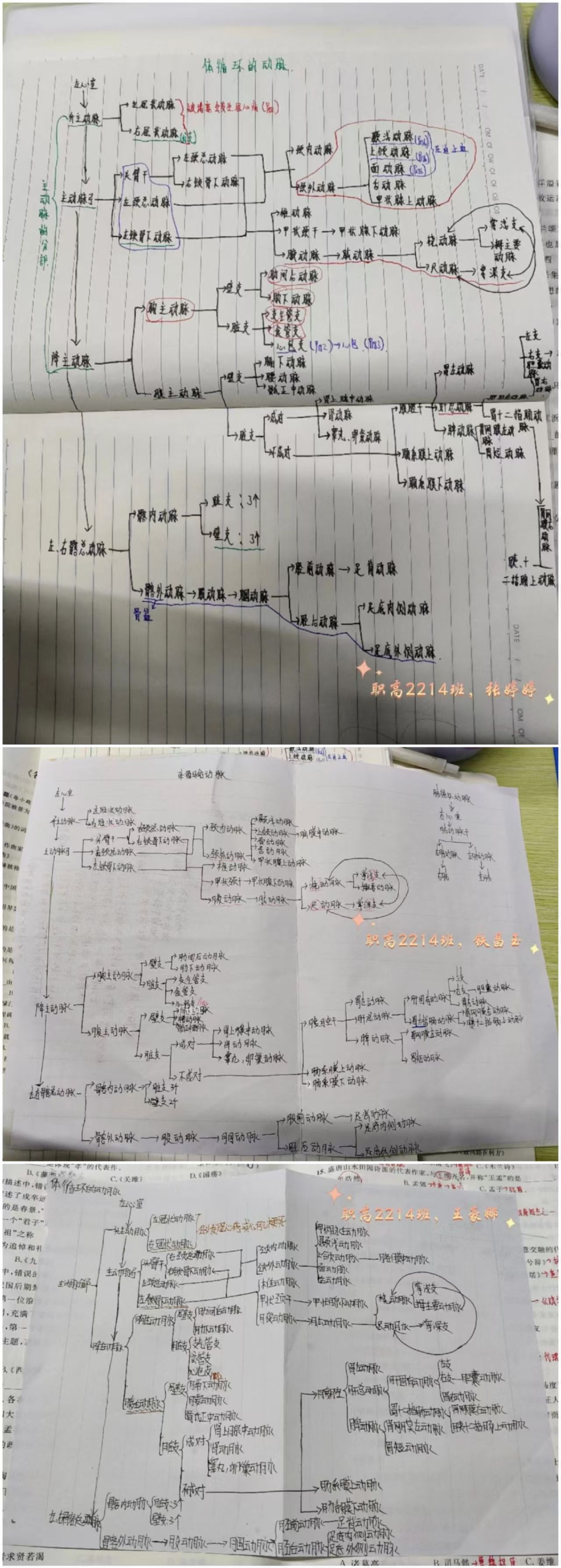 微信圖片_20250320092557