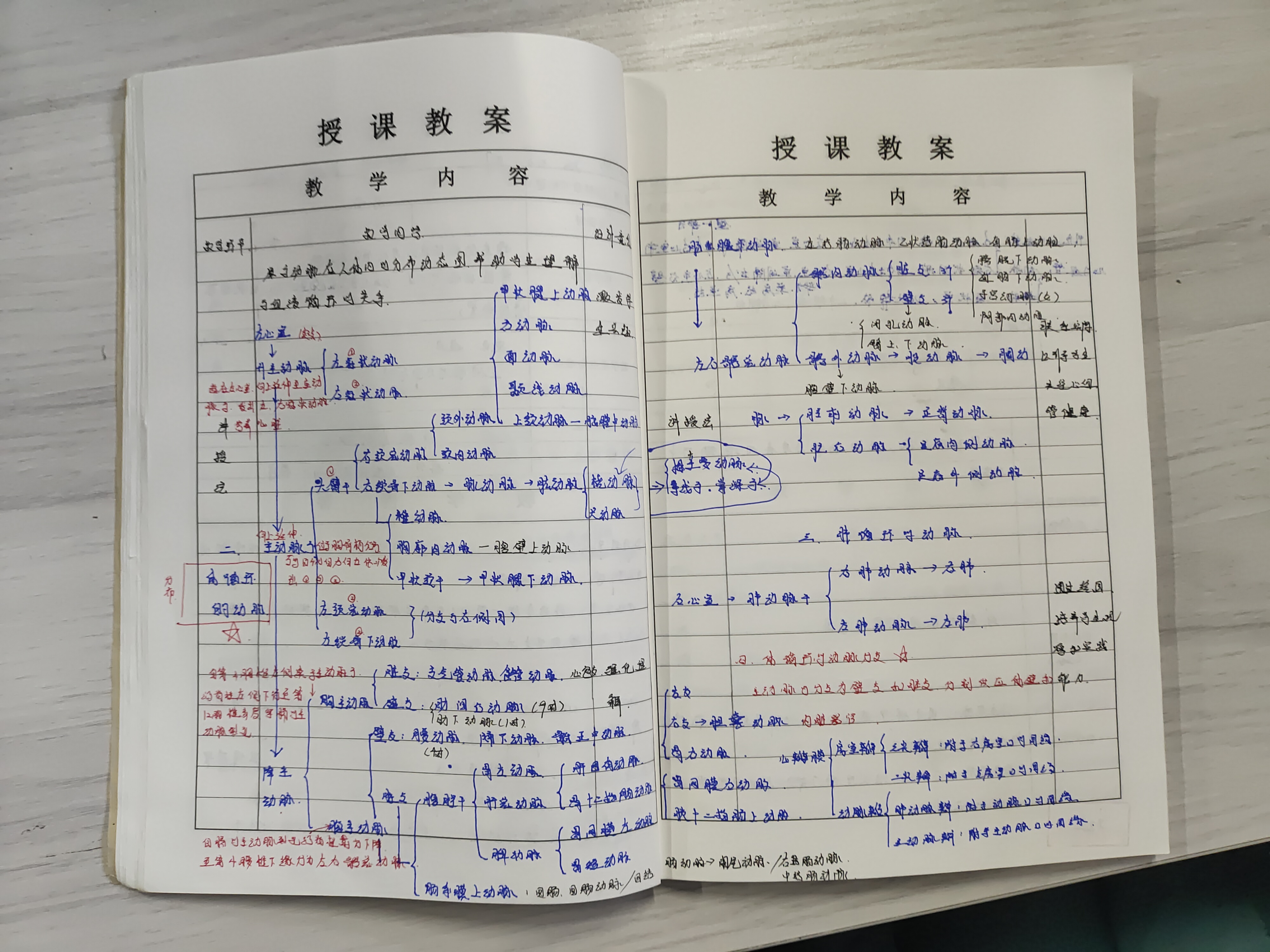 優(yōu)秀教案賞析 | 探秘人體：從生理到解剖的知識(shí)之旅