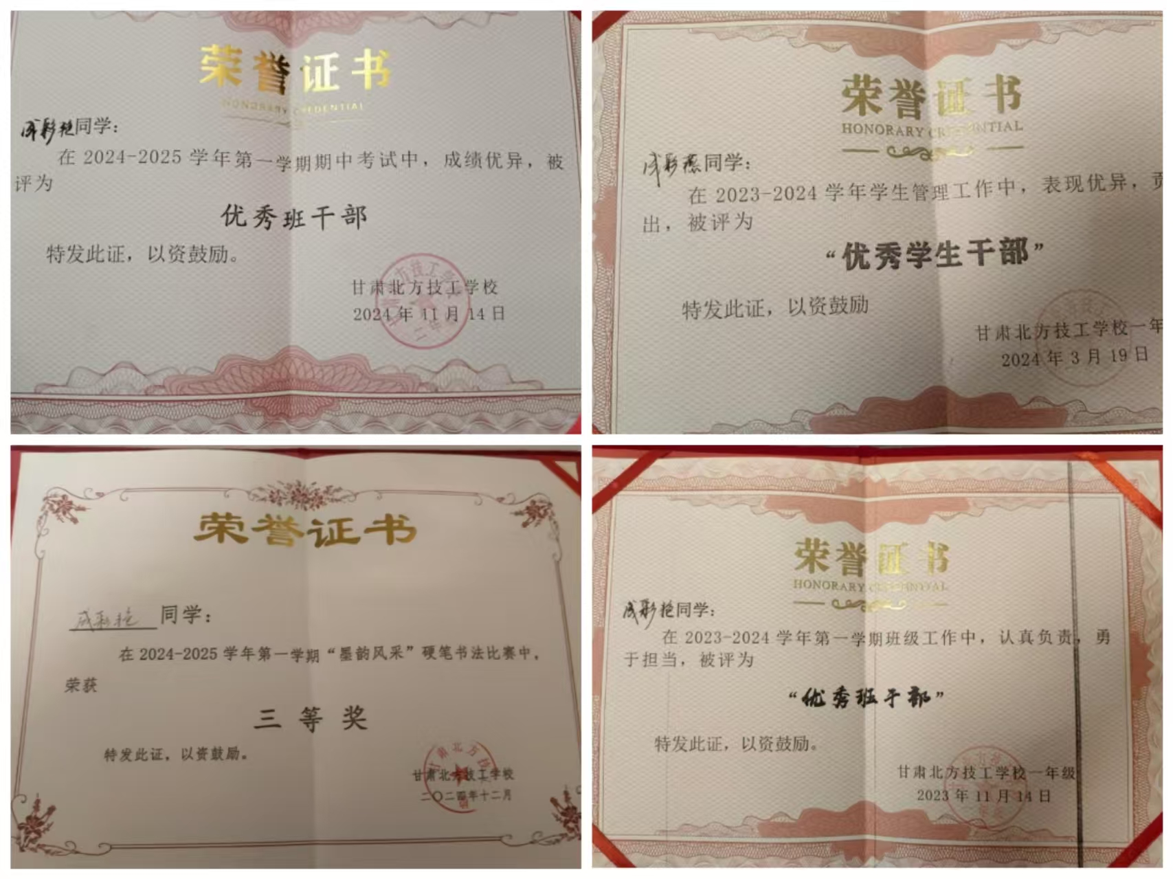 青衿之志 履踐致遠 | “學習之星”：成彩燕