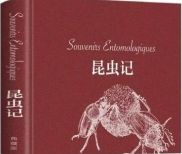 書林漫步 經典共享 | 學生薦書：《昆蟲記》