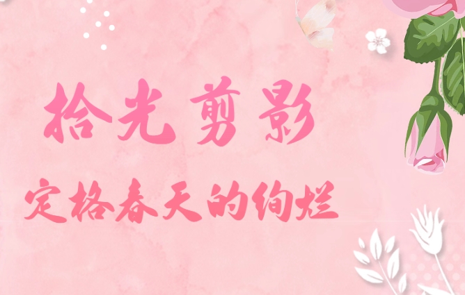 拾光剪影 定格春天的絢爛