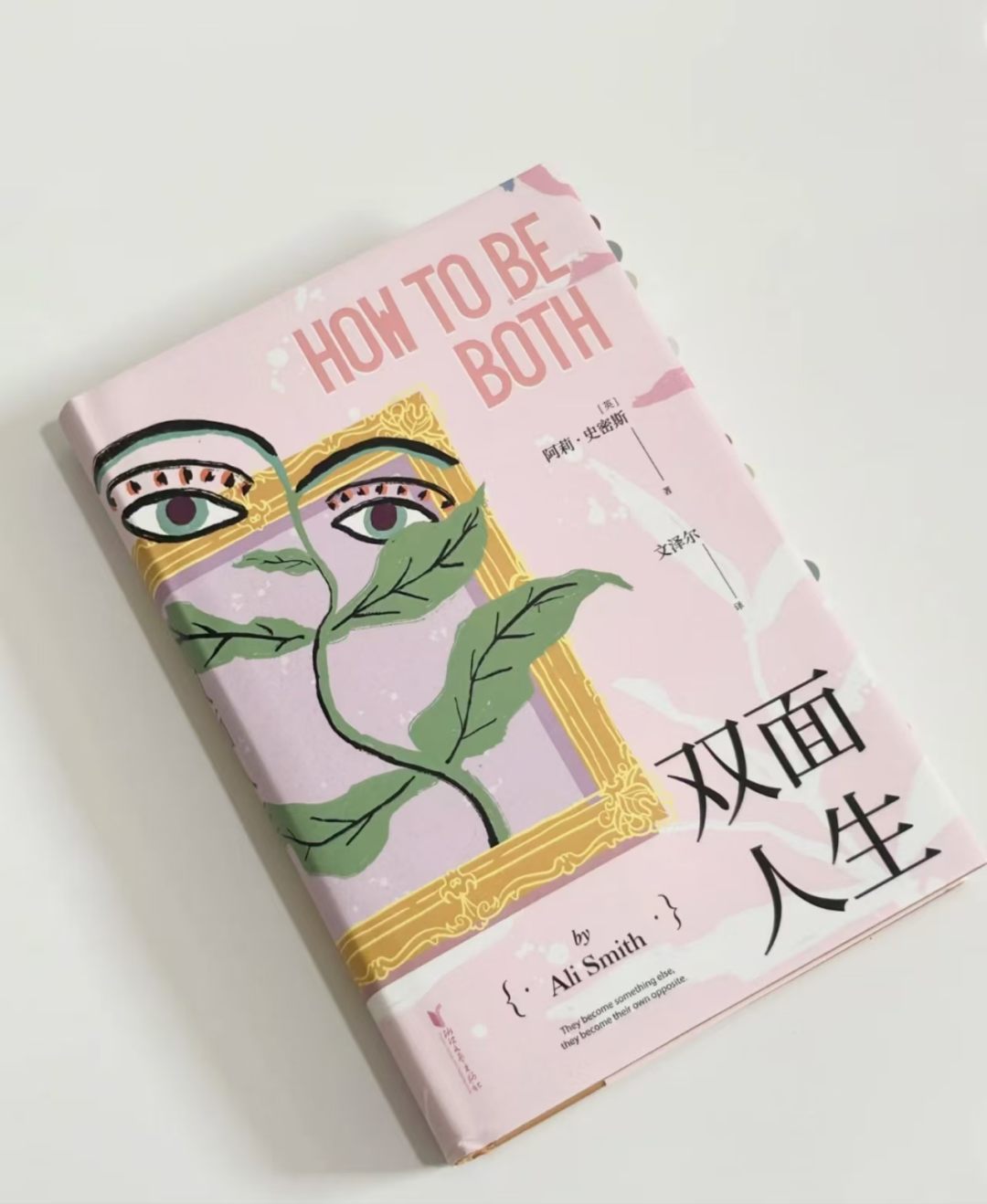 書林漫步 經(jīng)典共享 | 學(xué)生薦書：《雙面人生》