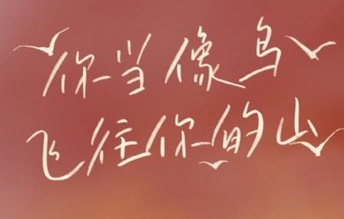 書林漫步 經典共享|學生薦書:《你當像鳥飛往你的山》